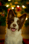 tenoutof10_collie
